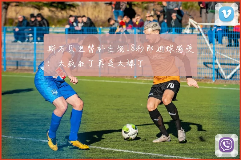 斯万贝里替补出场18秒即进球感受：太疯狂了真是太棒了