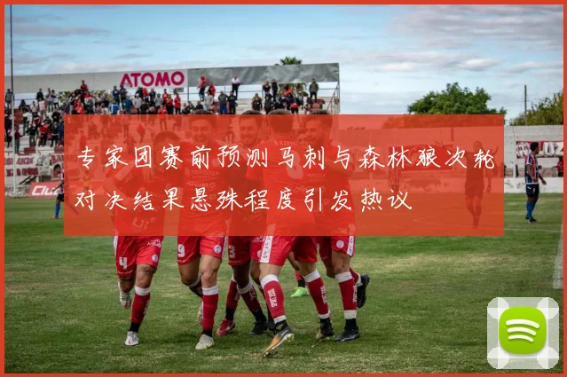 专家团赛前预测马刺与森林狼次轮对决结果悬殊程度引发热议